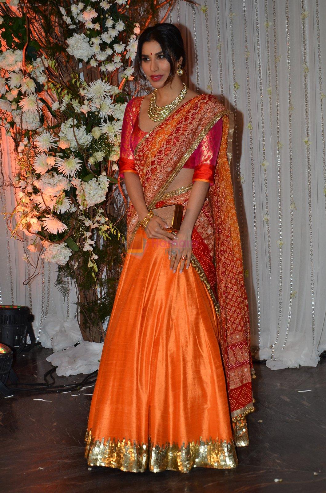 Sophie Chaudhary at Bipasha Basu and Karan Singh Grover's Wedding Reception on 30th April 2016
