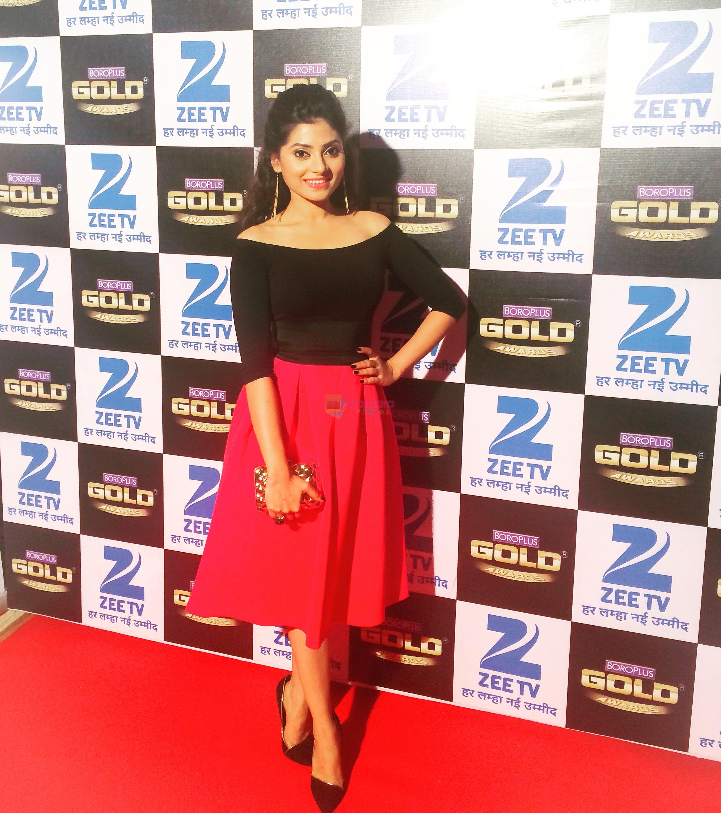 Reena Agarwal at Zee Gold Red Carpet