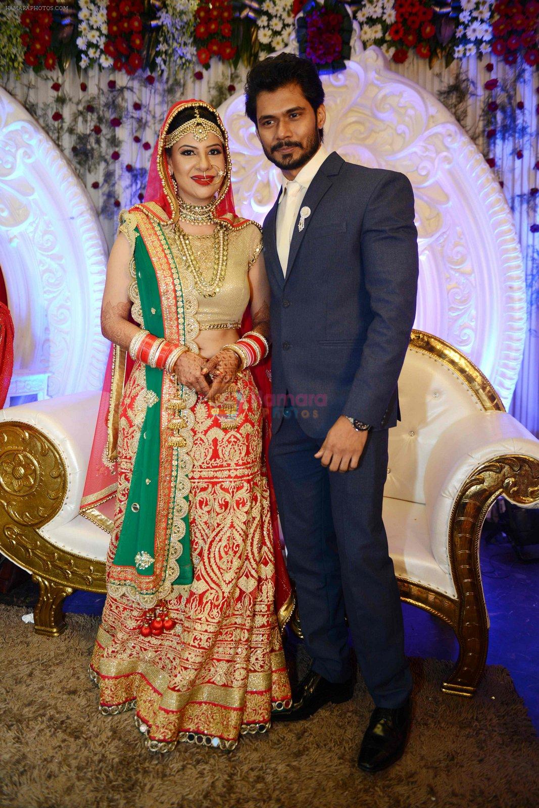 Sambhavna seth and Avinash Dwivedi's Wedding on 14th July 2016