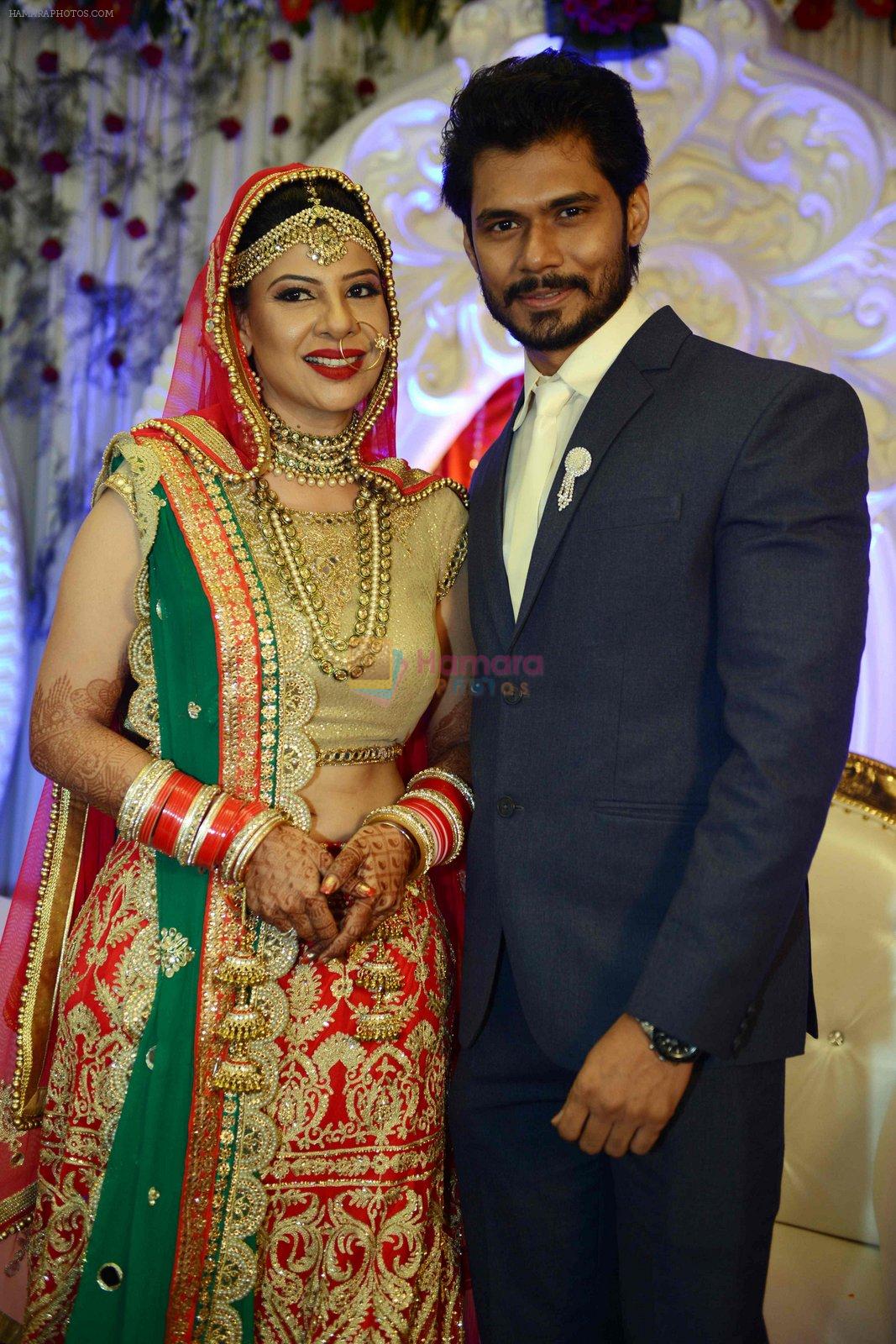 Sambhavna seth and Avinash Dwivedi's Wedding on 14th July 2016