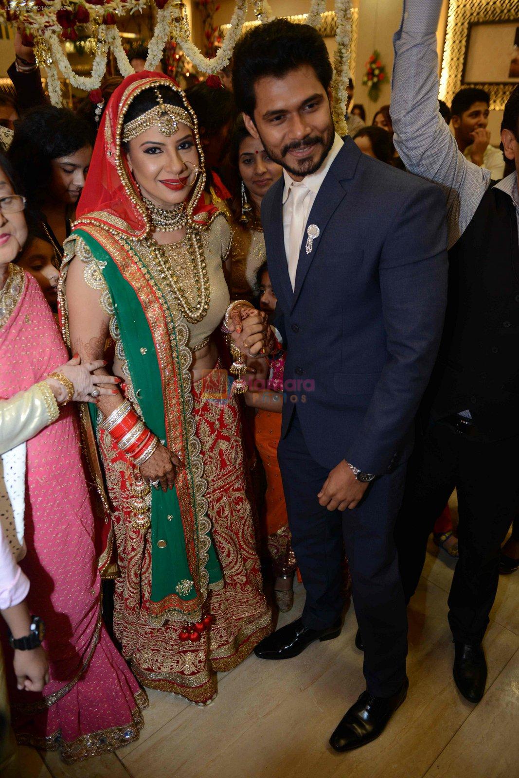 Sambhavna seth and Avinash Dwivedi's Wedding on 14th July 2016