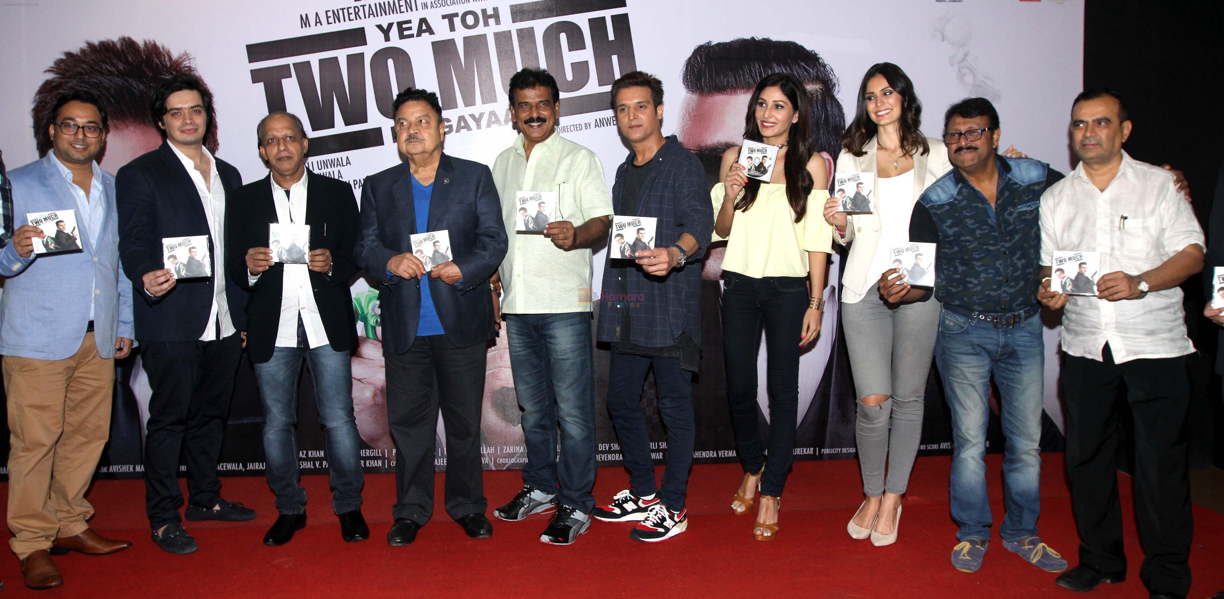 avishek,ali unwala,ayub khan,aa khan,anwer khan,jimmy,pooja chopra,bruna,vijay patkar & yogesh lakhani at Yeh toh Two much hogaya film event on 6th Aug 2016