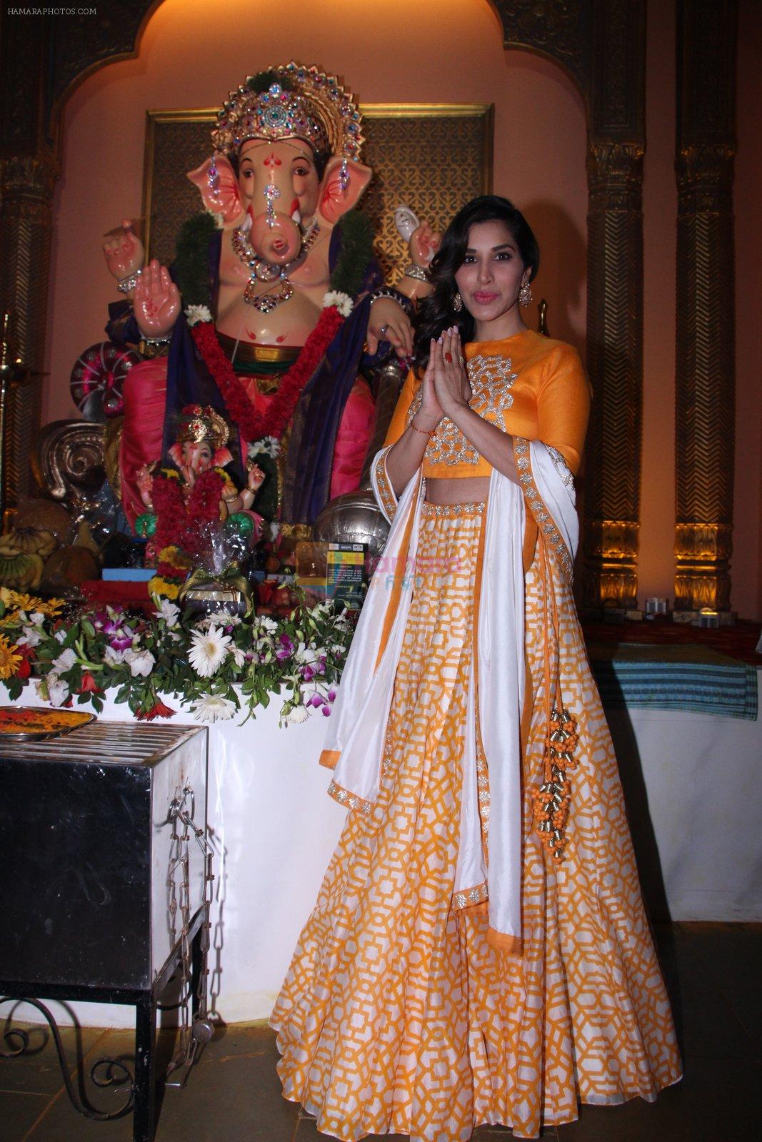 Sophie Choudry at Ganpati mandal on 9th Sept 2016
