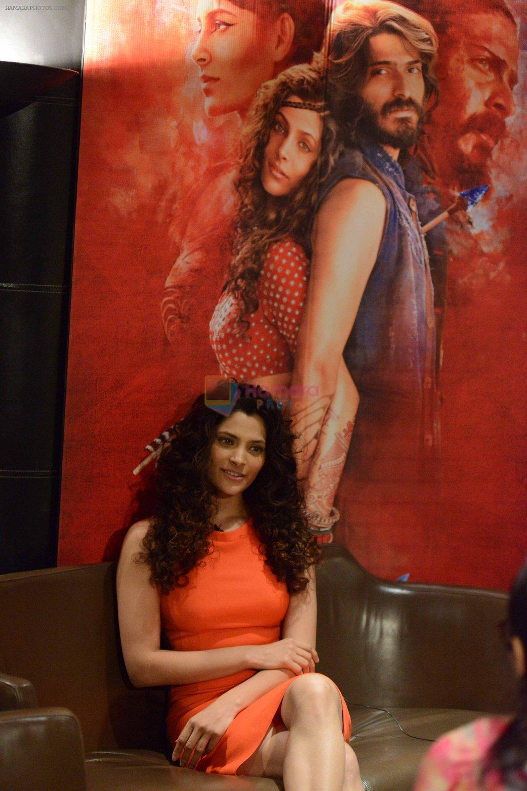 Saiyami Kher at Mirzya press meet in Delhi on 3rd Oct 2016