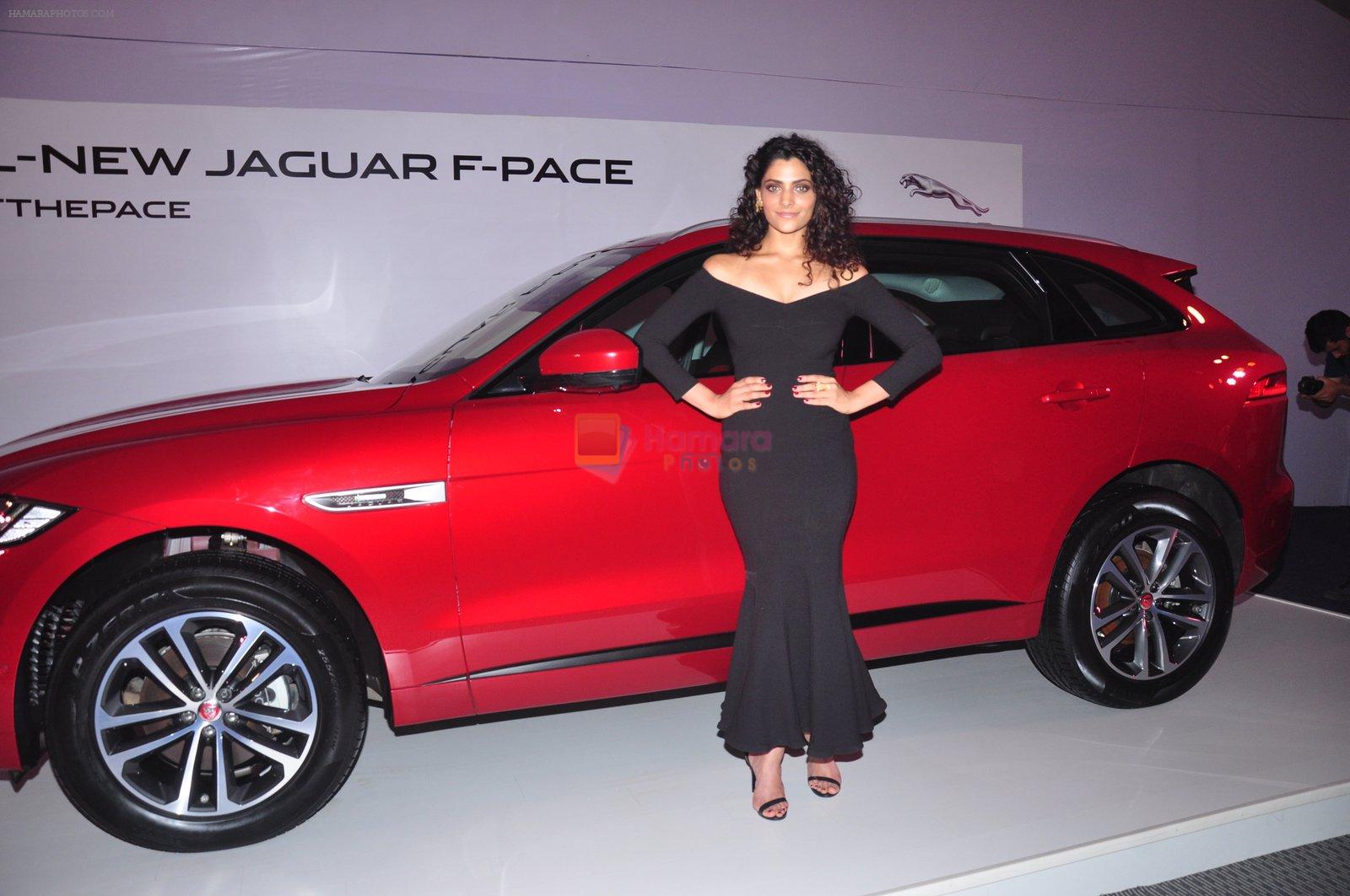Saiyami Kher at Jaguar car launch on 20th Oct 2016