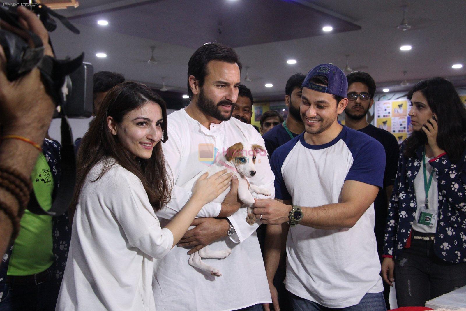Soha Ali Khan, Kunal Khemu, Saif Ali Khan at Pet adoptation on 26th Nov 2016
