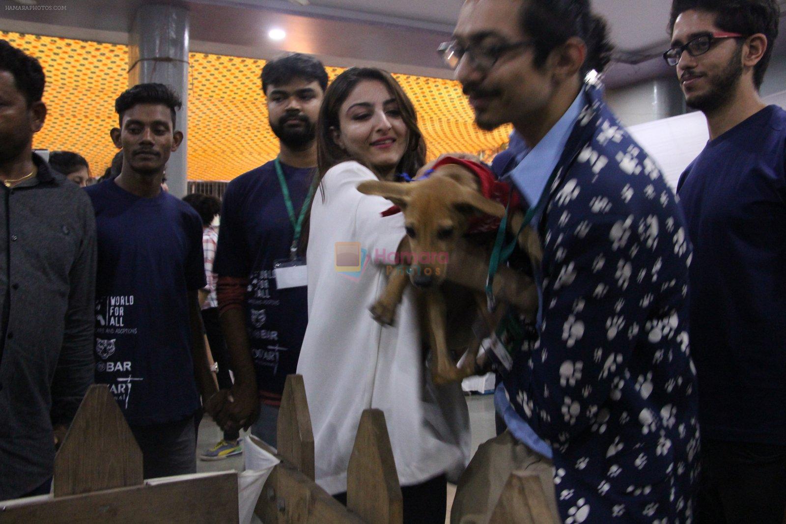 Soha Ali Khan at Pet adoptation on 26th Nov 2016