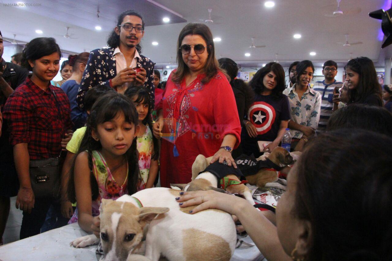 Farah Khan at pet adoption in Mumbai on 27th Nov 2016