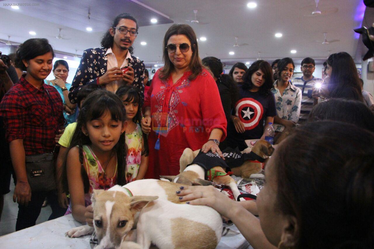 Farah Khan at pet adoption in Mumbai on 27th Nov 2016