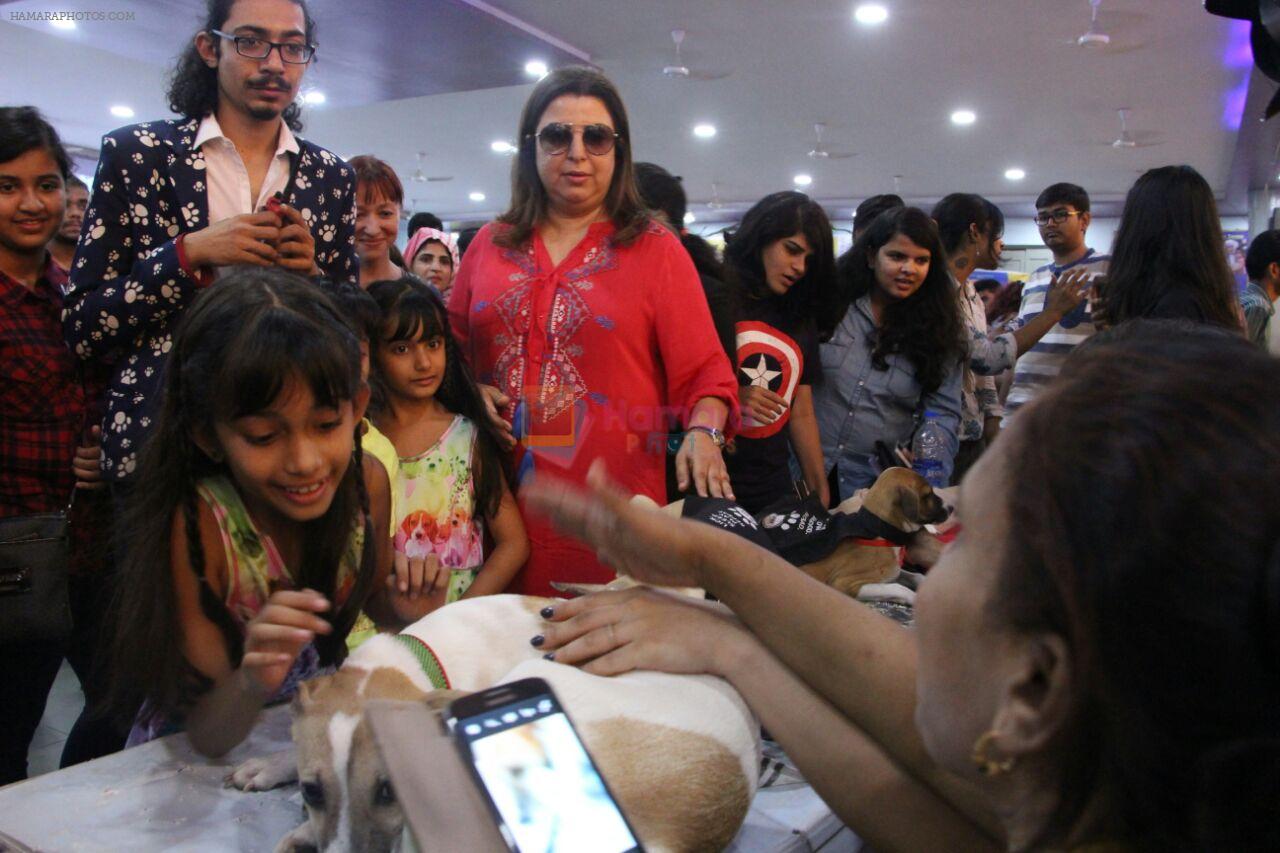 Farah Khan at pet adoption in Mumbai on 27th Nov 2016