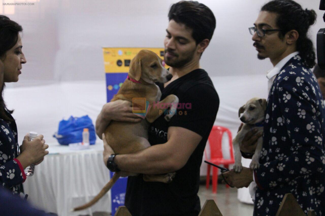 Sooraj Pancholi at pet adoption in Mumbai on 27th Nov 2016
