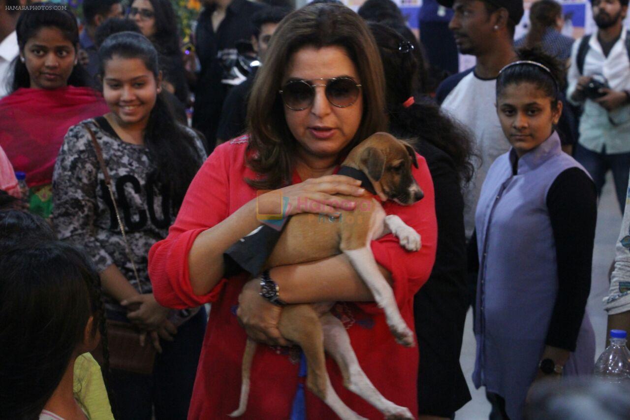 Farah Khan at pet adoption in Mumbai on 27th Nov 2016