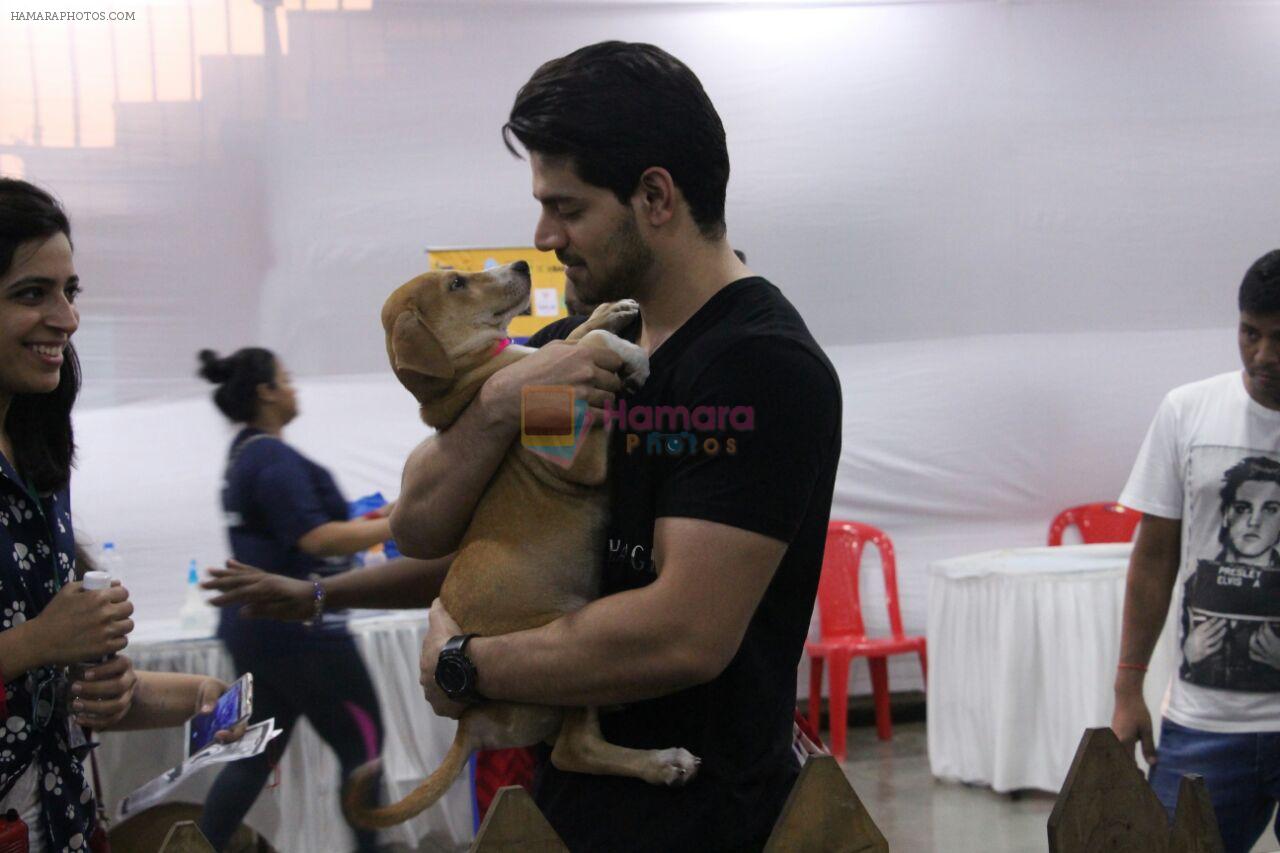 Sooraj Pancholi at pet adoption in Mumbai on 27th Nov 2016