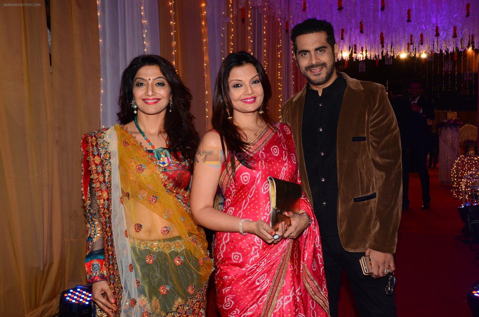 Deepshikha Nagpal at Photographer Munna S wedding reception on 18th Dec 2016