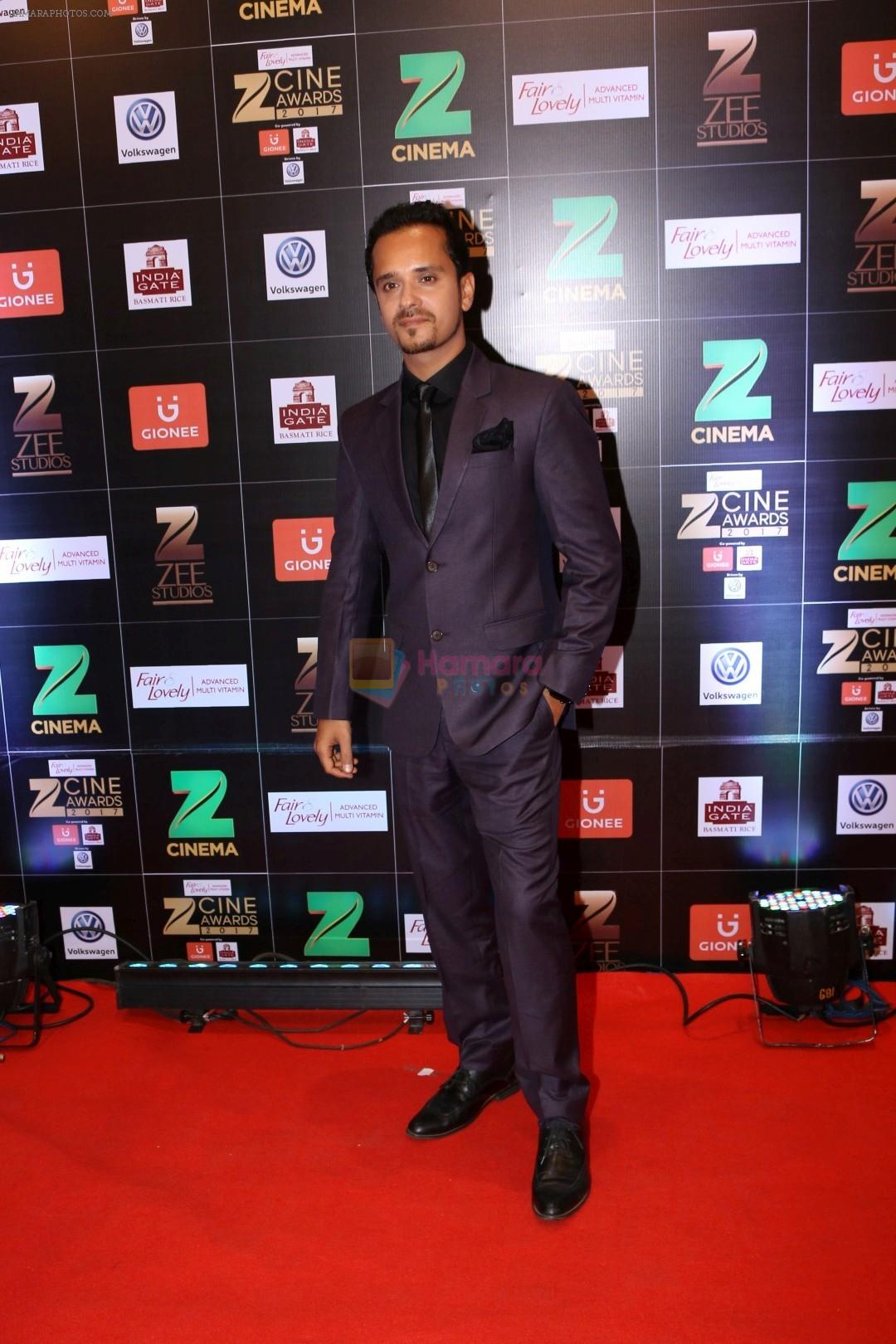 Raghav Sachar at Red Carpet Of Zee Cine Awards 2017 on 12th March 2017