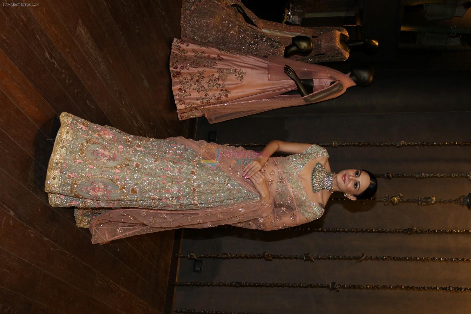 Aanchal Kumar at the Unveiling Of Shyamal & Bhumika�s Spring Summer 17 Collection on 31st March 2017