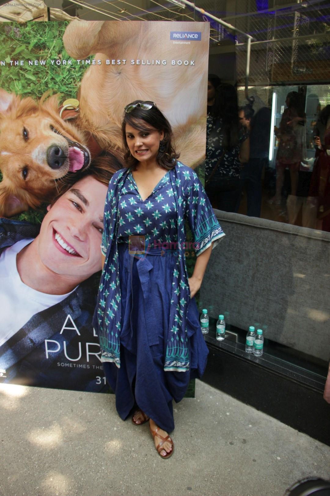 Lara Dutta at the Special Screening Of Film A Dogs Purpose