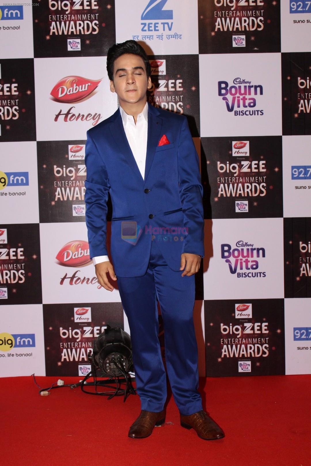 Faisal Khan At Red Carpet Of Big Zee Entertainment Awards 2017 on 29th July 2017