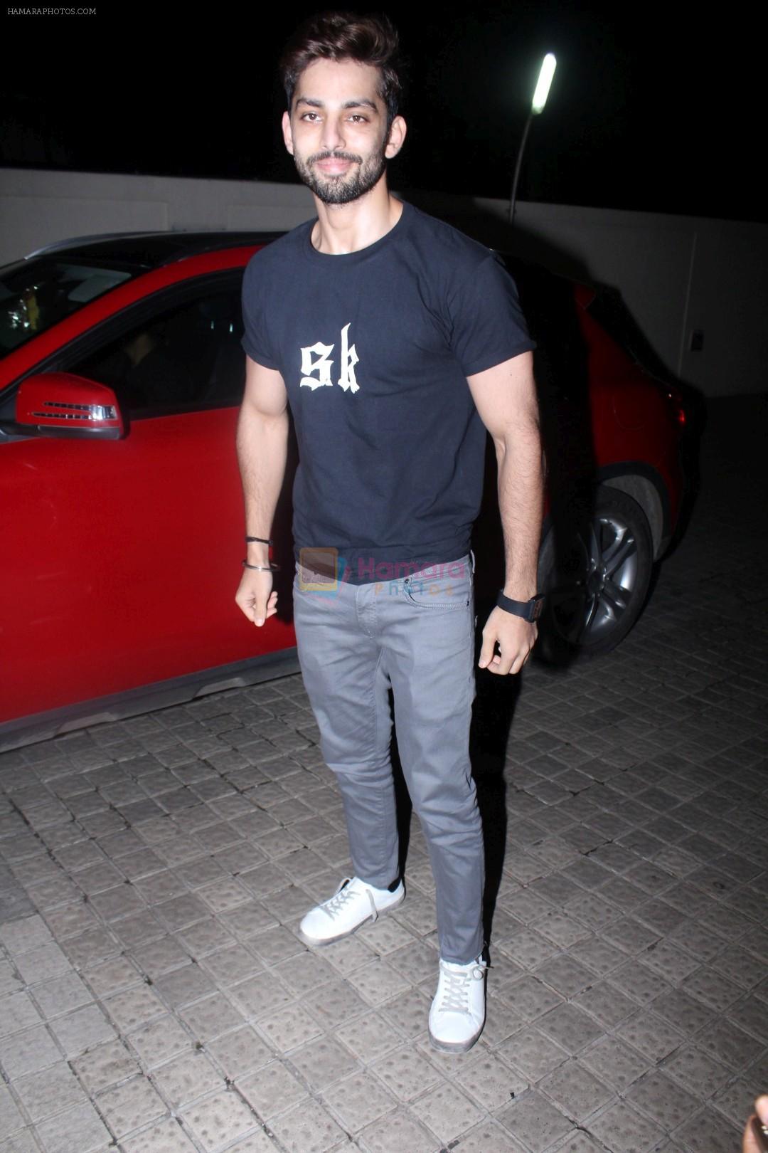 Himansh Kohli at the Special Screening Of Film Partition 1947 on 17th Aug 2017
