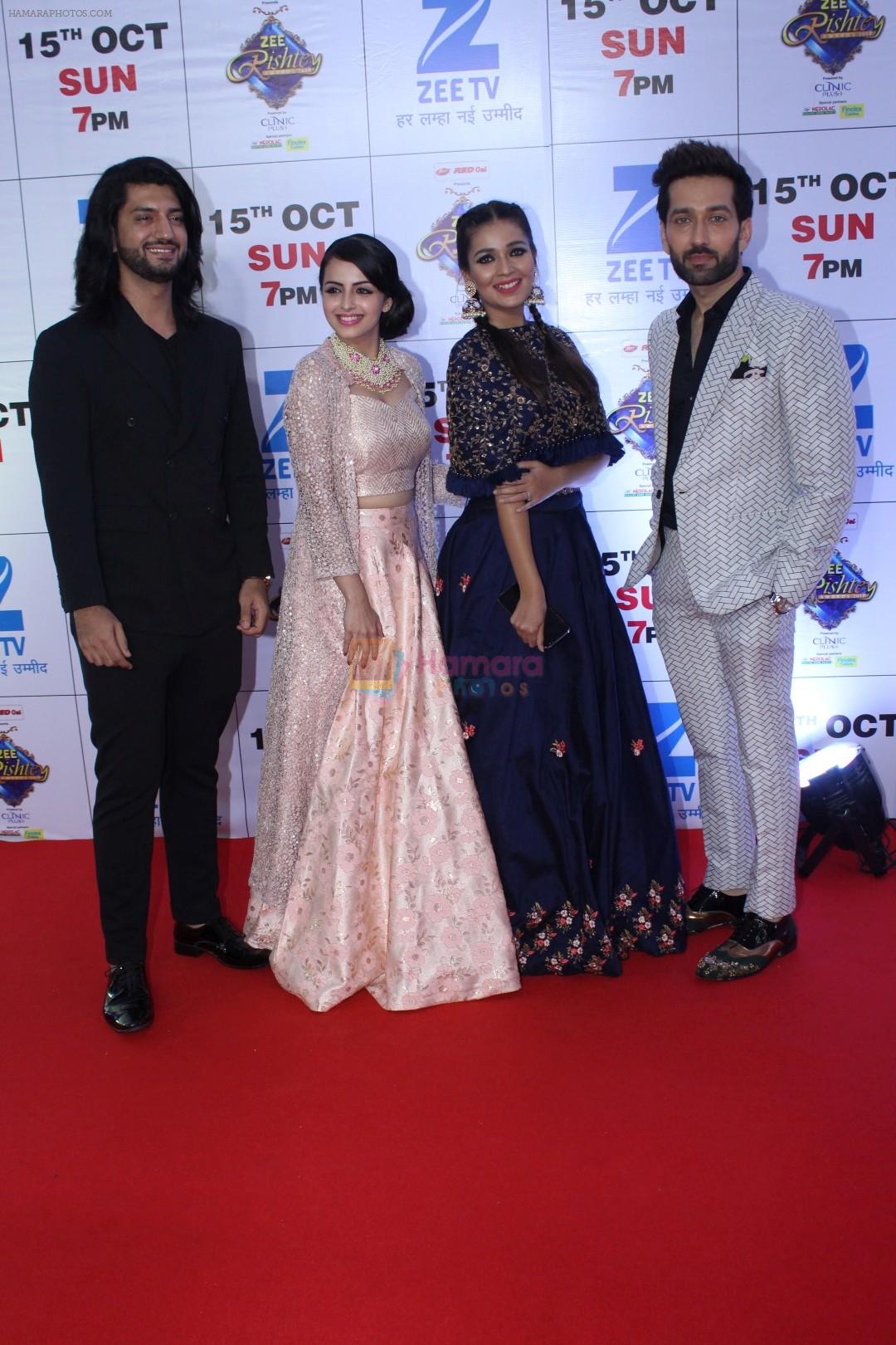 Nakuul Mehta at the Red Carpet Of The Grand Celebration Of Zee Rishtey Awards 2017 on 10th Sept 2017