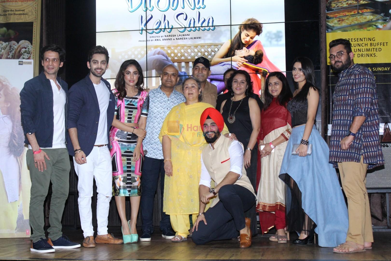 Himansh Kohli and Priya Banerjee at the Music Launch Of Dil Jo Keh Na Saka Movie on 30th Oct 2017