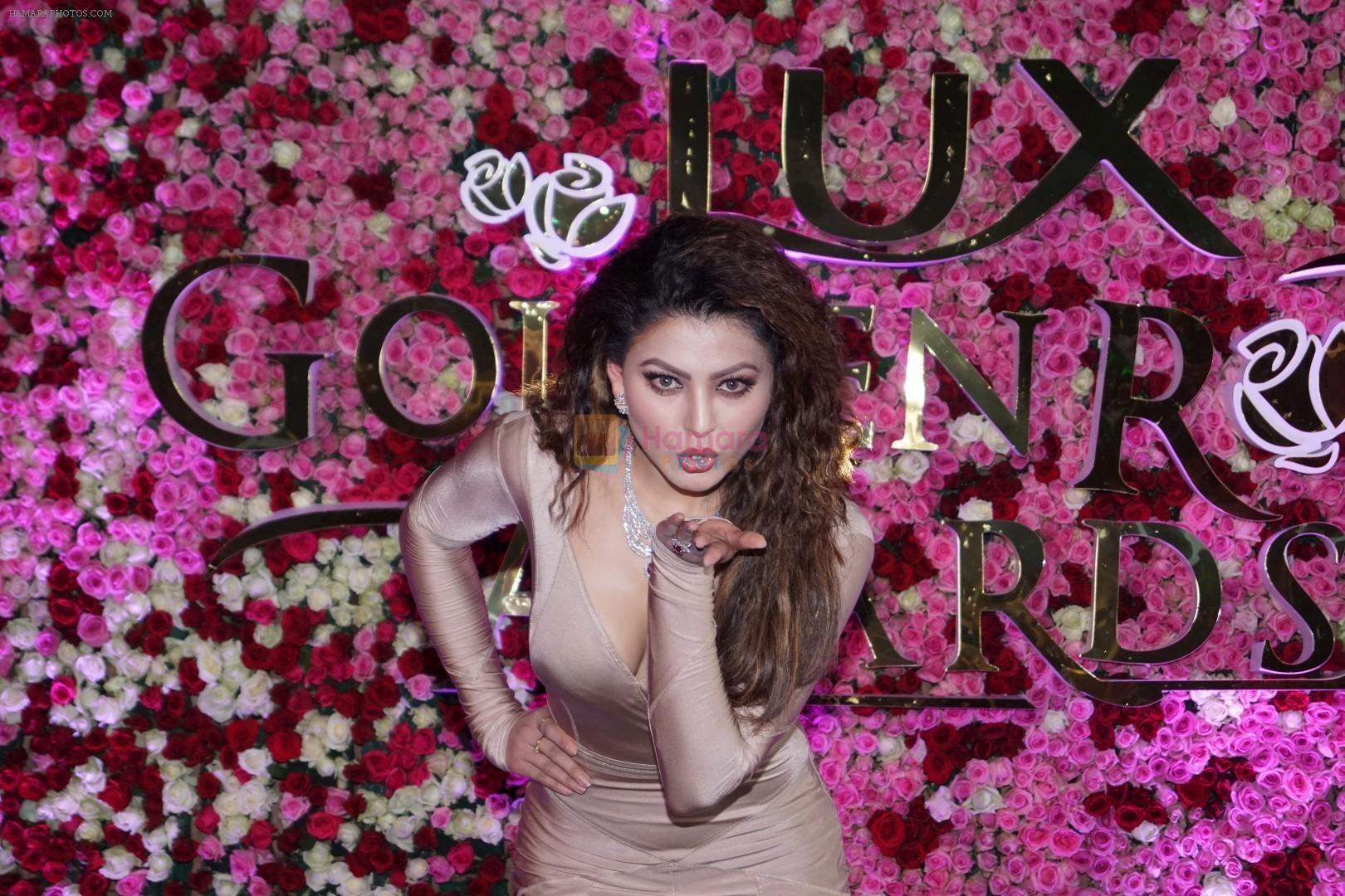 Urvashi Rautela at the Red Carpet Of Lux Golden Rose Awards 2017 on 10th Dec 2017