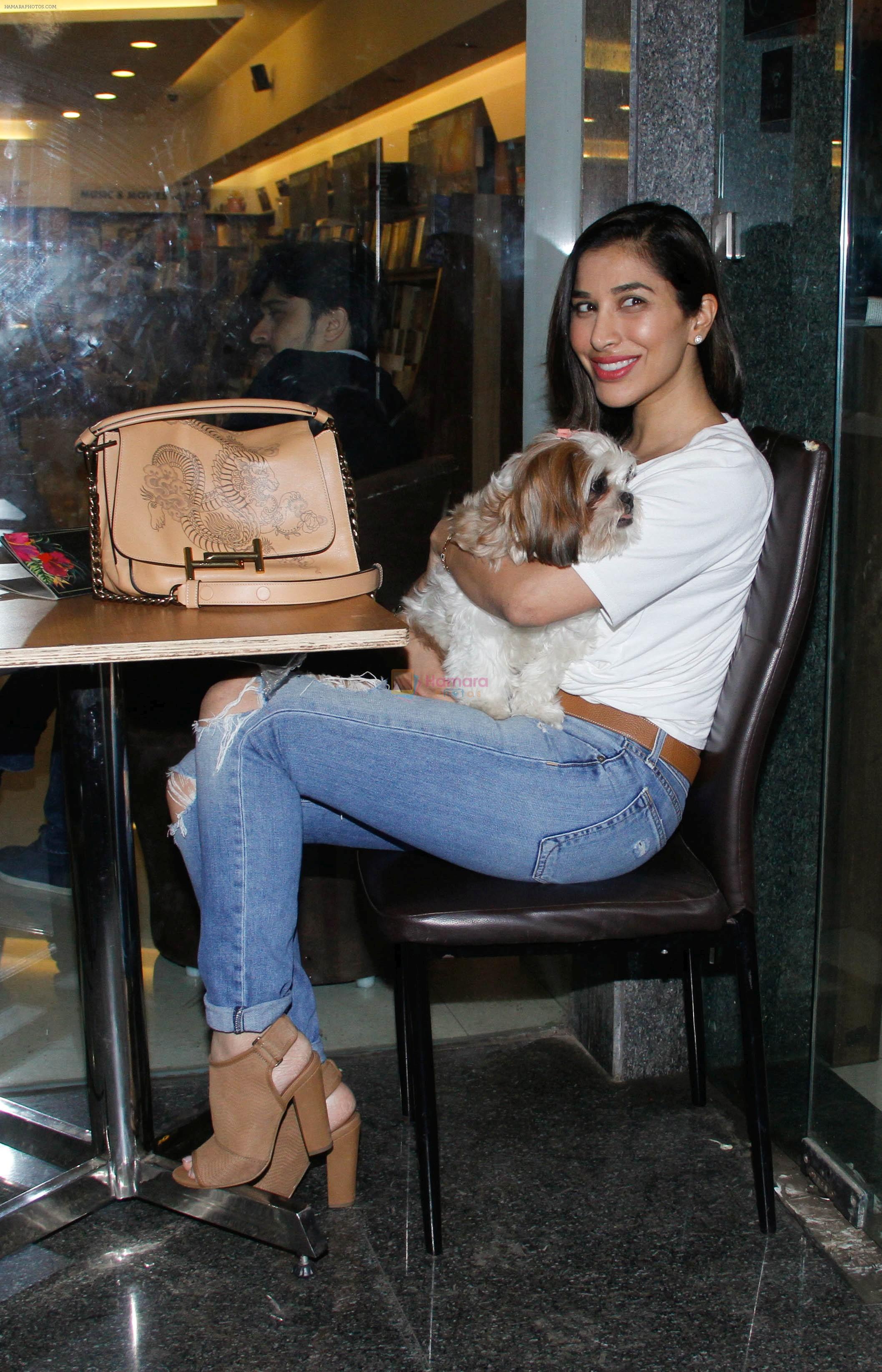 Sophie Choudry spotted at cafe D Bella bandra on 6th Jan 2018