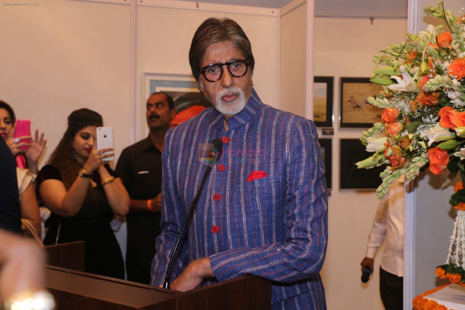Amitabh Bachchan At Opening Preview Of Dilip De's Art Exhibition on 26th Jan 2018