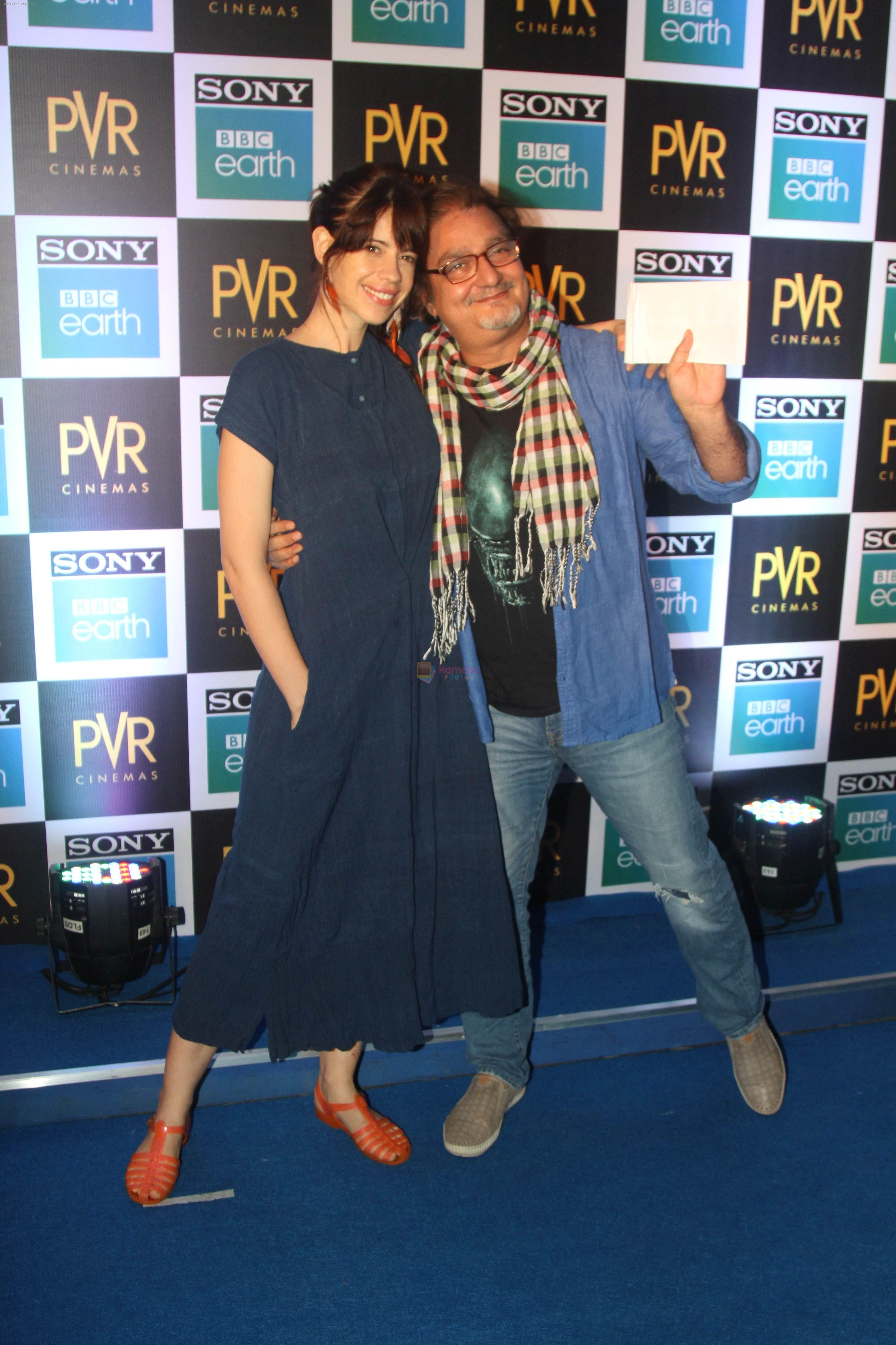 Kalki Koechlin, Vinay Pathak  at the Screening of Sony BBC Earth's film Blue Planet 2 at pvr icon in andheri on 15th May 2018