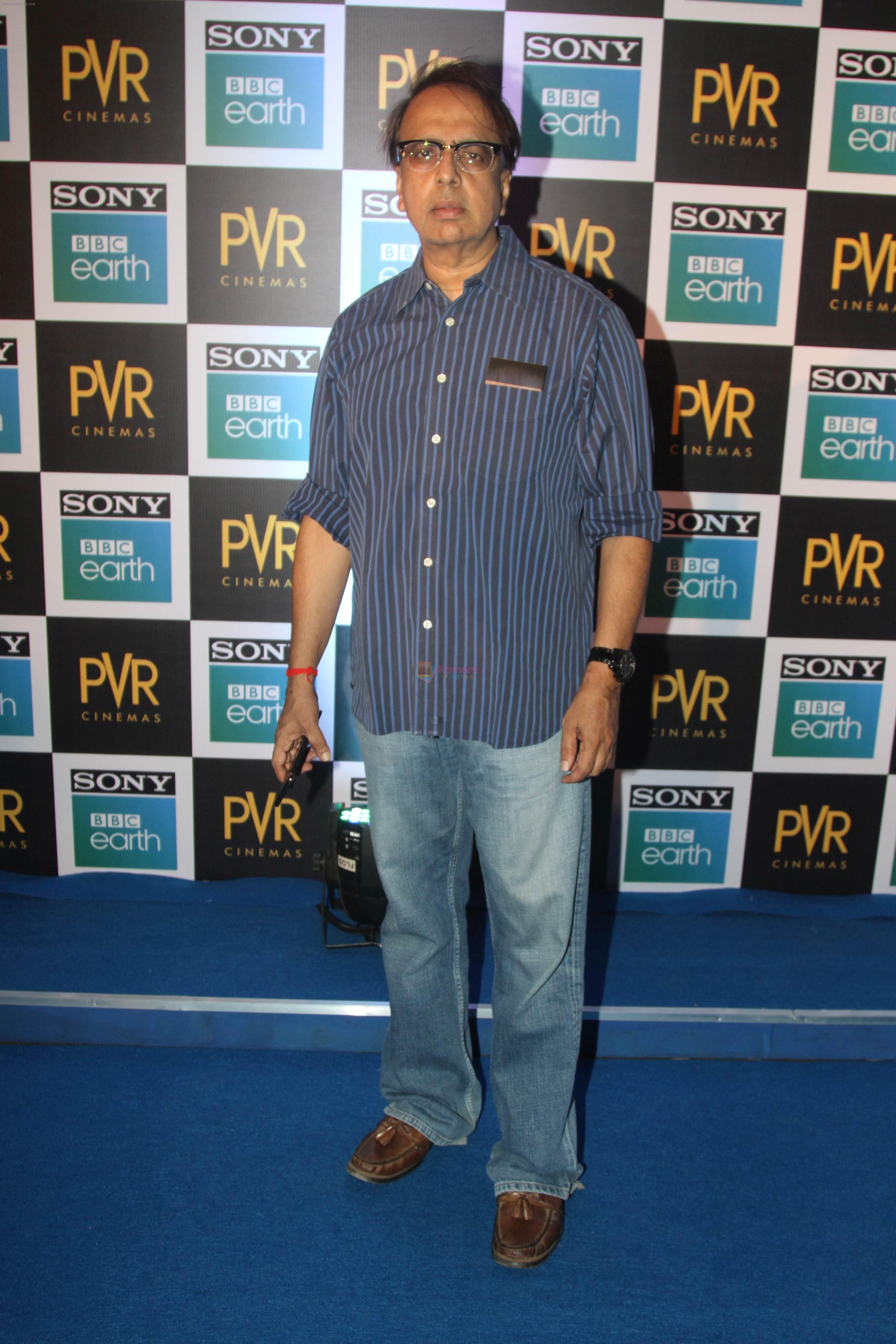 Anant Mahadevan at the Screening of Sony BBC Earth's film Blue Planet 2 at pvr icon in andheri on 15th May 2018