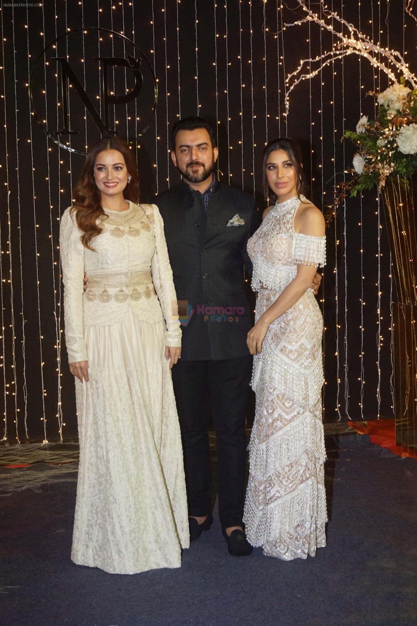 Dia Mirza at Priyanka Chopra & Nick Jonas wedding reception in Taj Lands End bandra on 20th Dec 2018