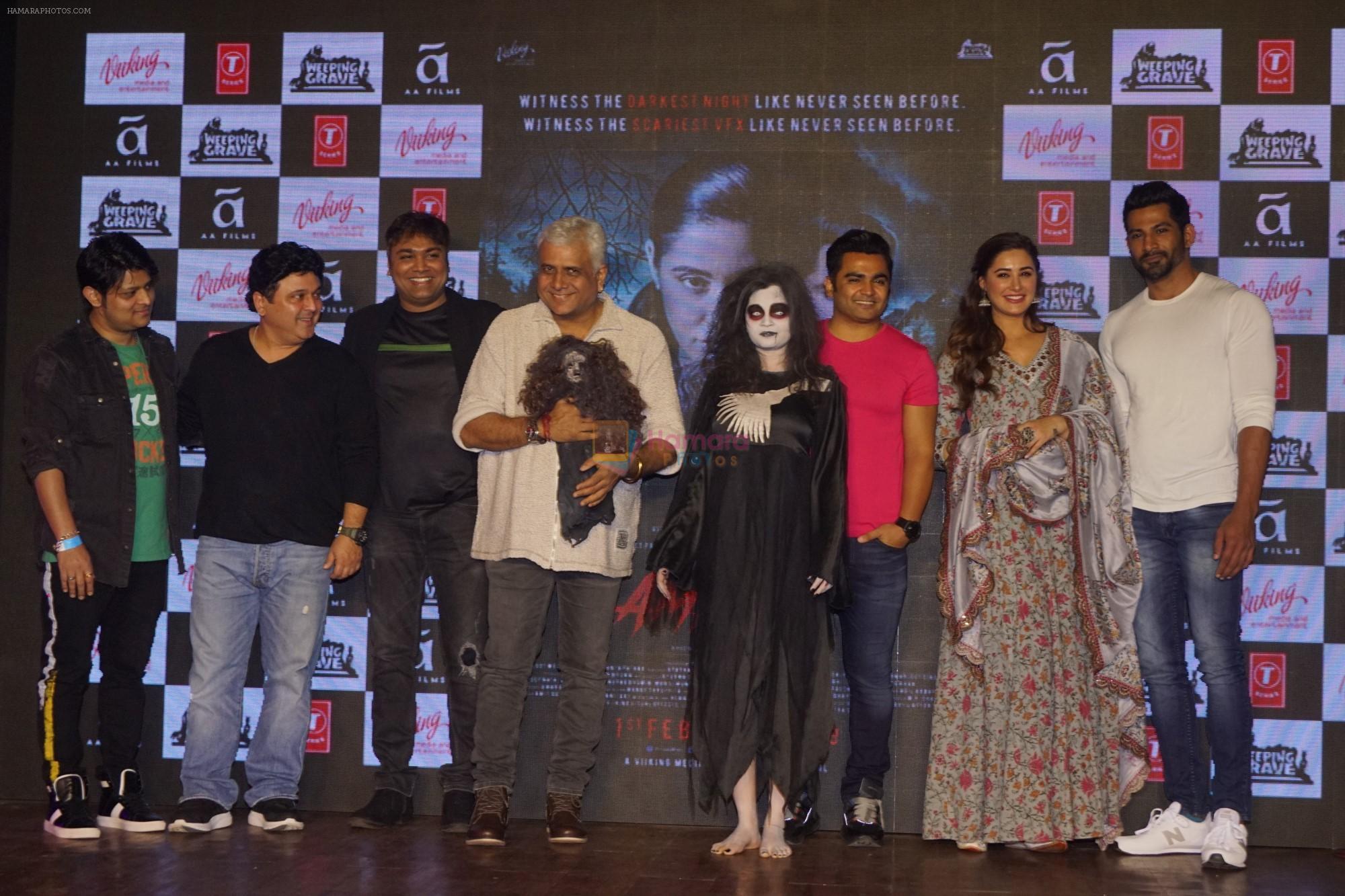 Nargis Fakhri, Sachiin Joshi, Vivan Bhatena, Bhushan Patel at the promotion of film Amavas on 6th Jan 2019