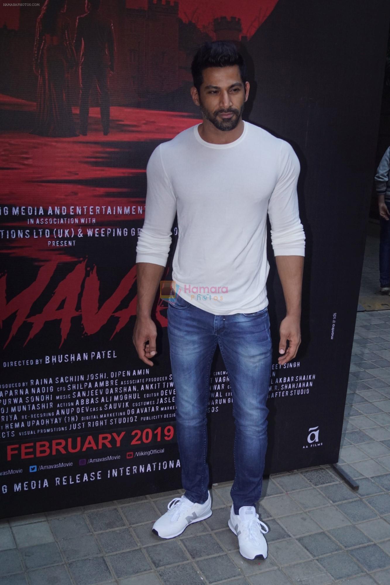 Vivan Bhatena at the promotion of film Amavas on 6th Jan 2019