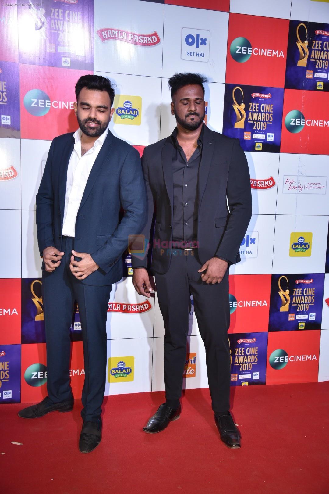 at Zee cine awards red carpet on 19th March 2019