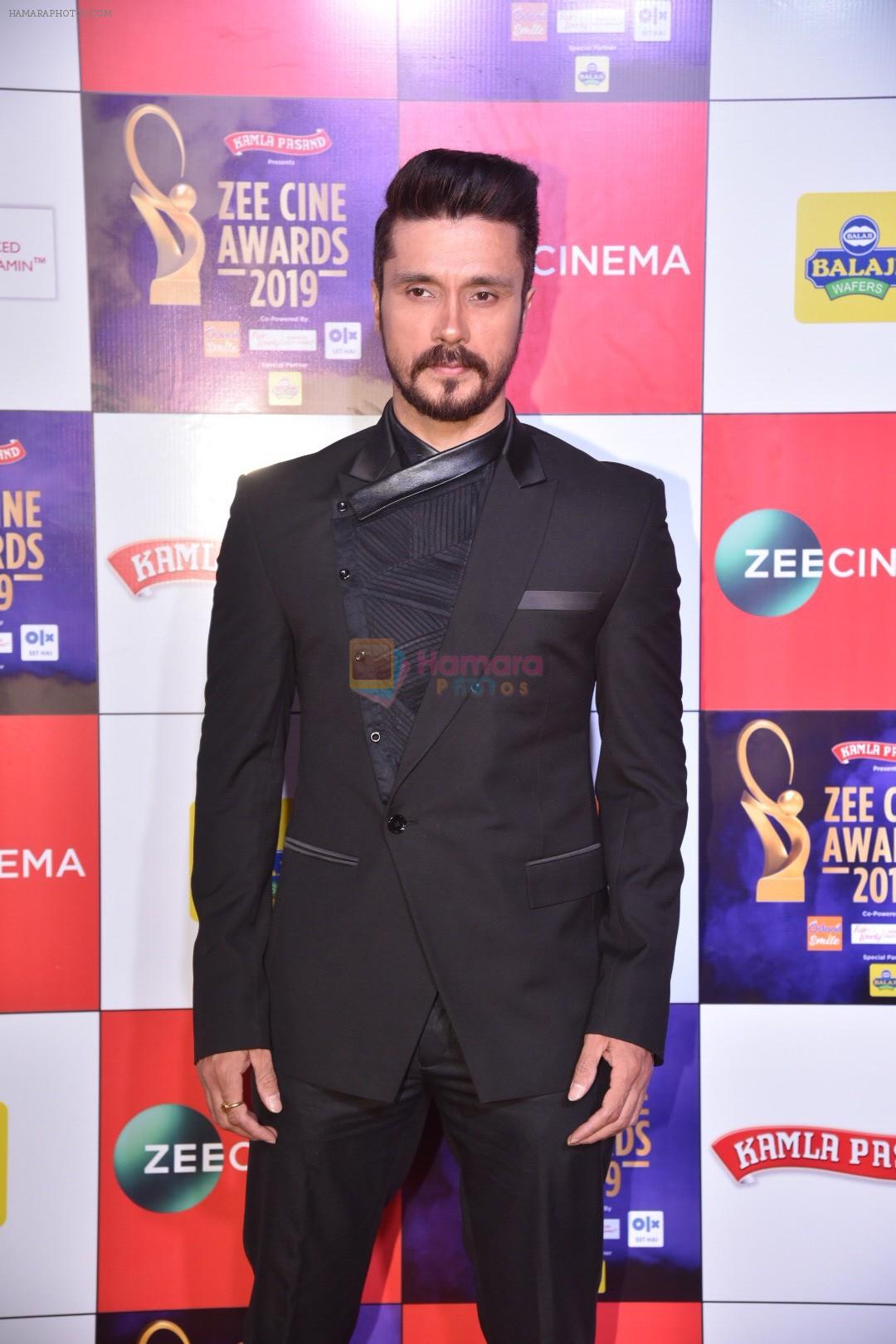 Darshan Kumaar at Zee cine awards red carpet on 19th March 2019