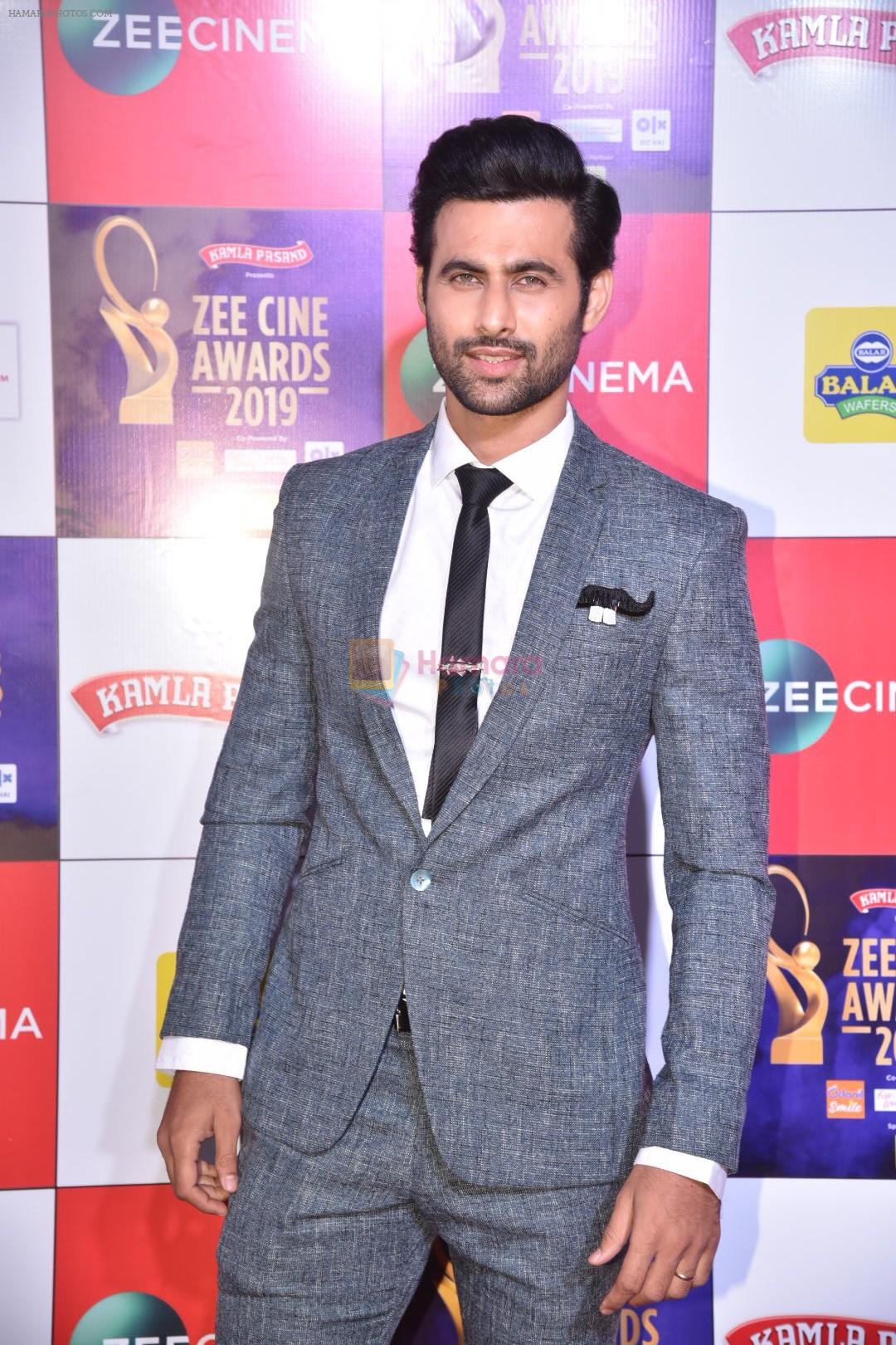 Freddy Daruwala at Zee cine awards red carpet on 19th March 2019