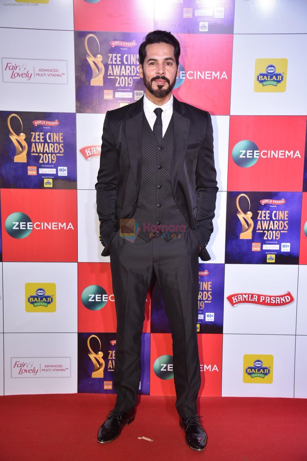 Dino Morea at Zee cine awards red carpet on 19th March 2019