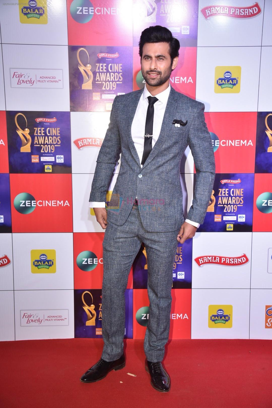 Freddy Daruwala at Zee cine awards red carpet on 19th March 2019