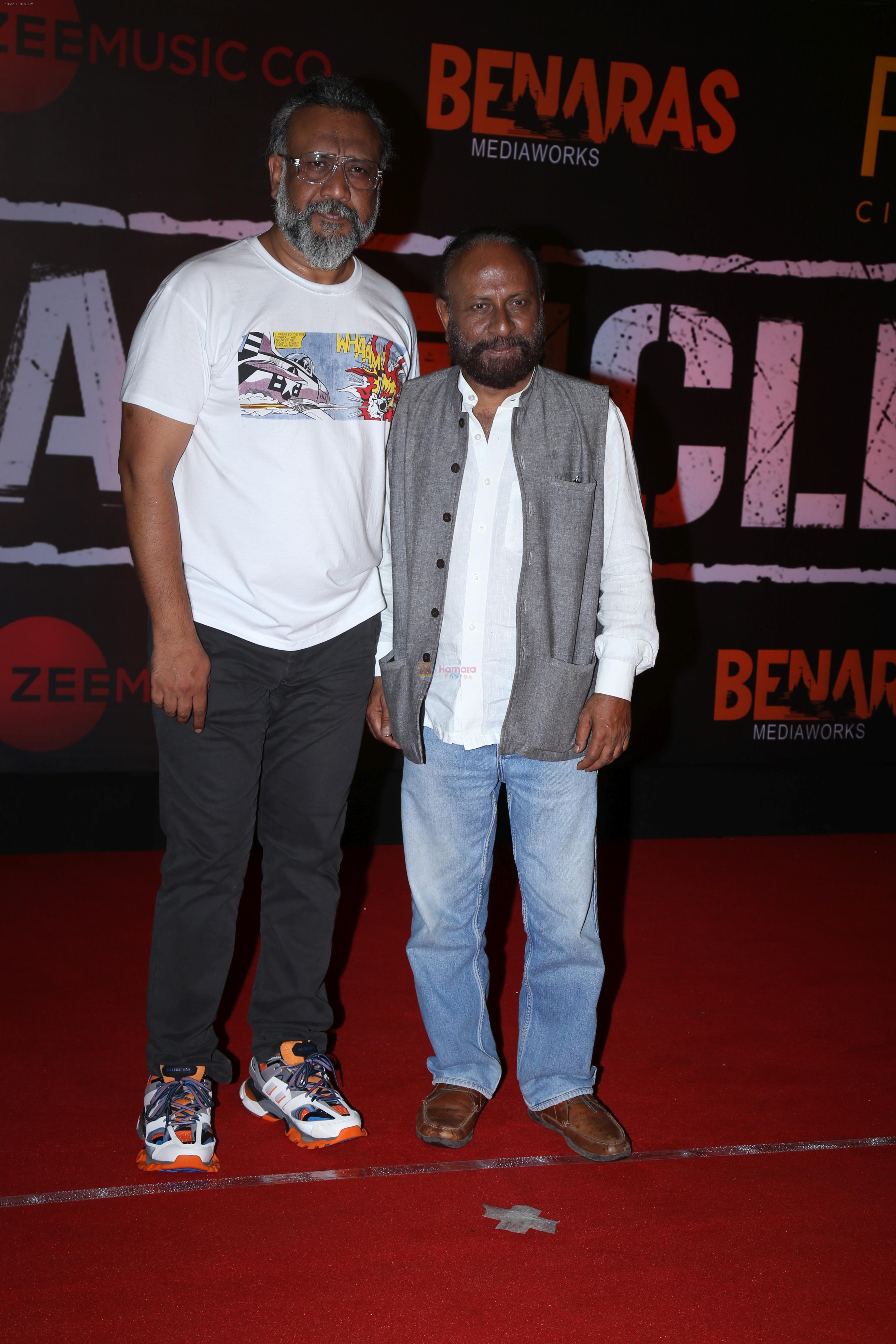 Anubhav Sinha at the Screening of film Article 15 in pvr icon, andheri on 26th June 2019