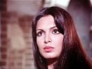 Parveen Babi 03~0.jpg
