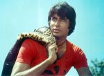 pic03_amitabh.jpg