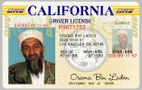 Osama License.jpg