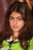 Genelia_D_Souza20.jpg