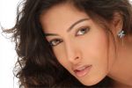 Sheetal-Menon-9.jpg