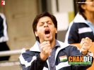 Chak De India - 11 - Shahrukh Khan.jpg