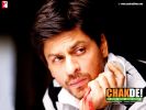 Chak De India - 20 - Shahrukh Khan.jpg