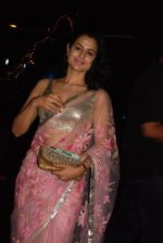 Amisha Patel at the premiere of Saawariya.jpg