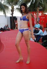 Lingerie Fashion Show by Triumph at Hotel Renissance on 29th Jan 2008 (28).jpg