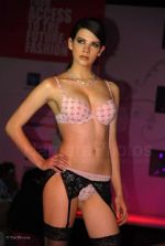 Lingerie Fashion Show by Triumph at Hotel Renissance on 29th Jan 2008 (5).jpg