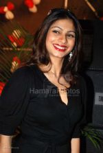 Tanisha at U Me Aur Hum music launch in The Club on Feb 13th 2008(59).jpg